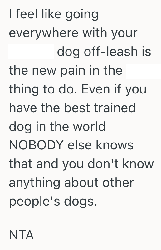 Screenshot 2025 07 03 at 9.19.59 PM A Careless Owner Let His Dog Charge At Her Foster Dog, So She Stepped In And It Turned Into A Big Fight